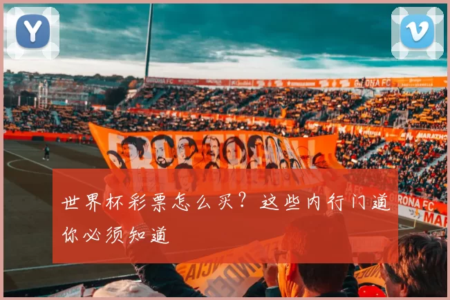 世界杯彩票怎么买?这些内行门道你必须知道
