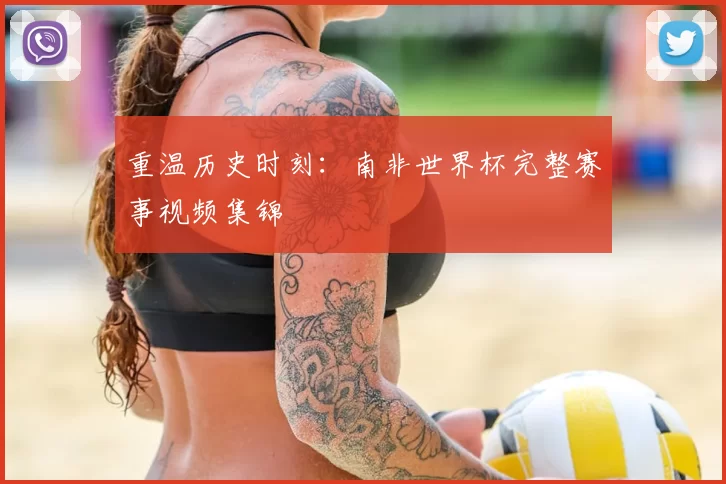 重温历史时刻:南非世界杯完整赛事视频集锦