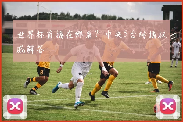 世界杯直播在哪看?中央5台转播权威解答
