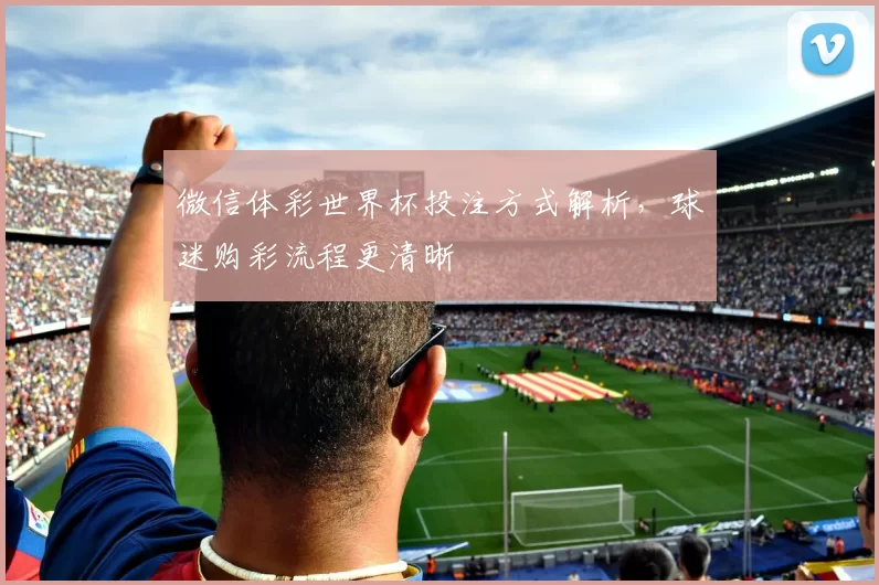 微信体彩世界杯投注方式解析,球迷购彩流程更清晰