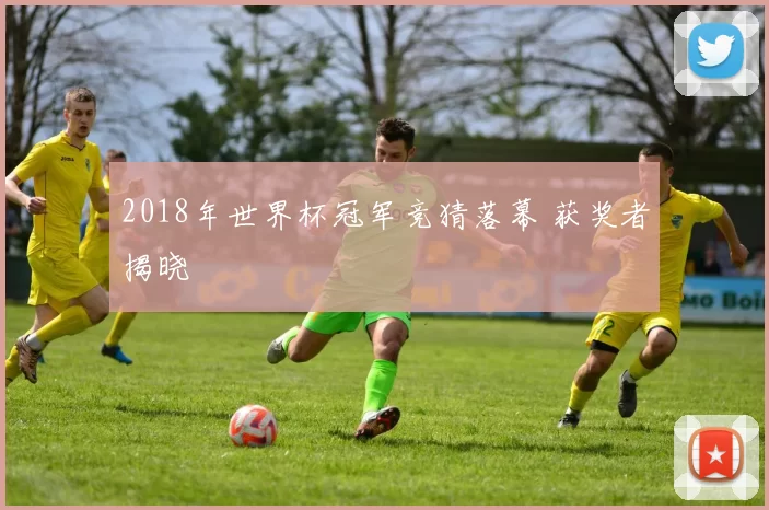 2018年世界杯冠军竞猜落幕 获奖者揭晓