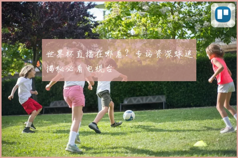 世界杯直播在哪看？专访资深球迷揭秘必看电视台