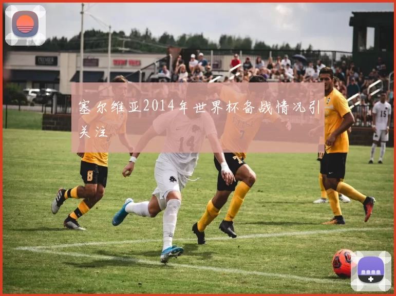 塞尔维亚2014年世界杯备战情况引关注